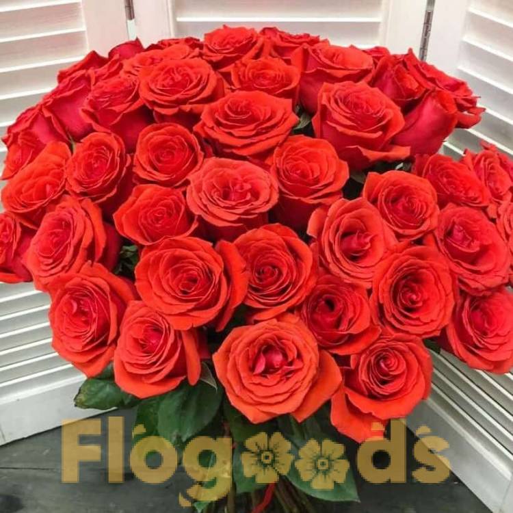 51 красная роза за 19 600 руб.